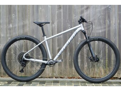 Specialized Ex Demo Rock Hopper 19"